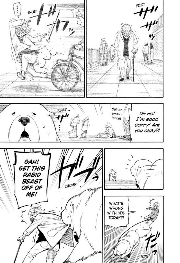 Spy x Family, Chapter 58 image 09